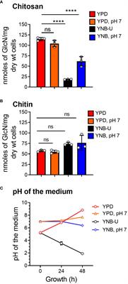 Cell wall composition in Cryptococcus neoformans is media dependent and alters host response, inducing protective immunity